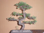 Small