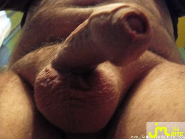 Photo de la bite de Totor
