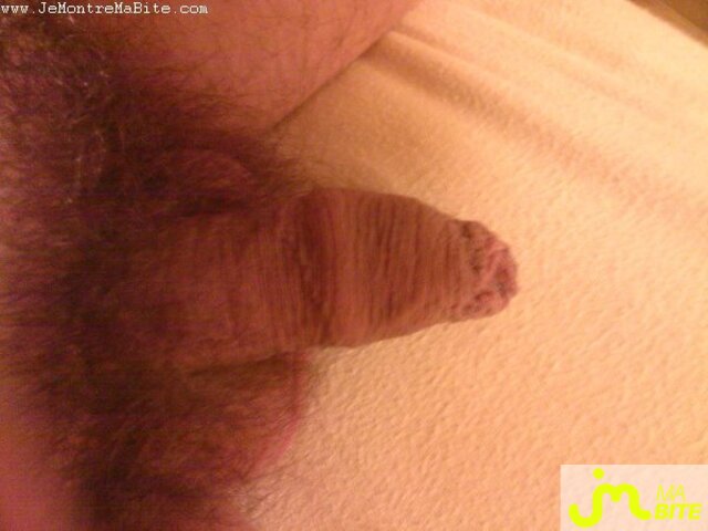Photo de la bite de Chacal
