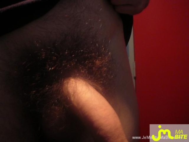Photo de la bite de Laurent2toulouse