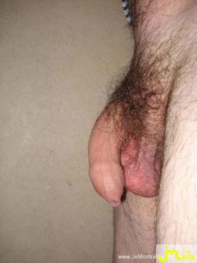 Photo de la bite de Levoyageur02
