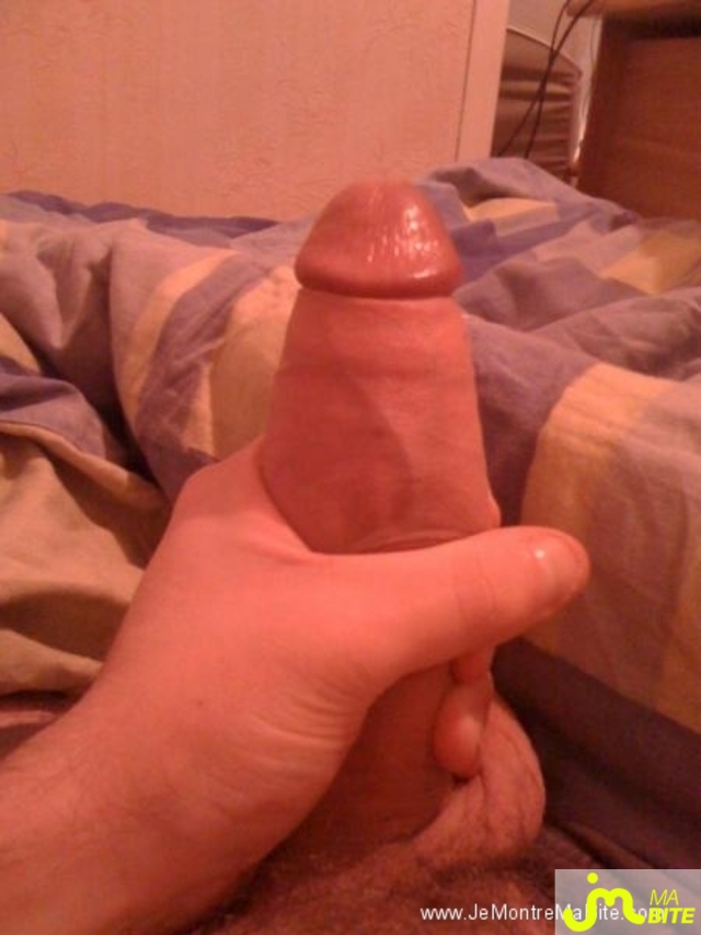Photo de la bite de Barbidul29