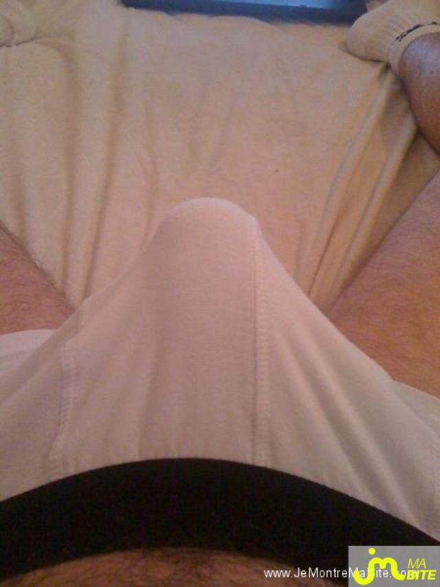 Photo de la bite de Barbidul29