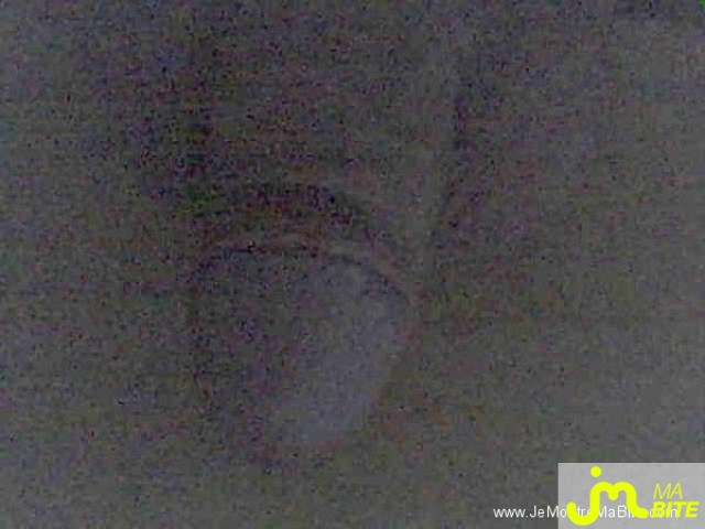 Photo de la bite de Hommevar