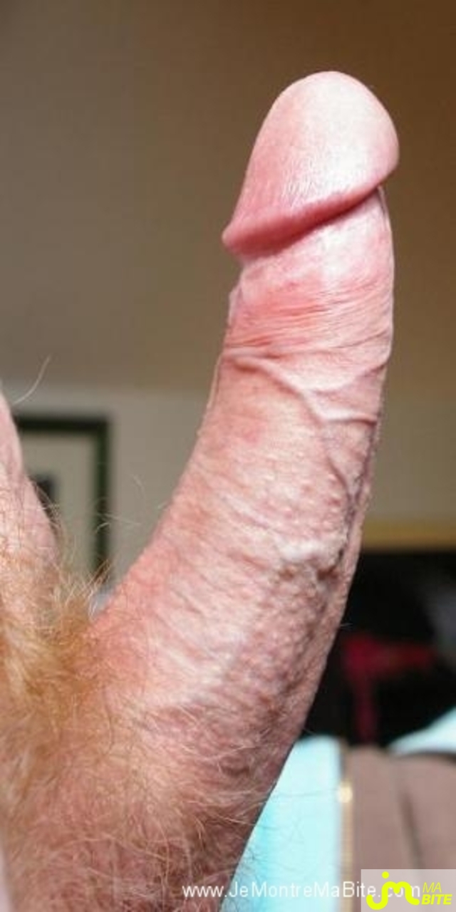 Photo de la bite de Seabird
