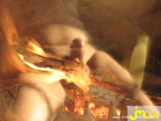 Photo de la bite de Saupiquet
