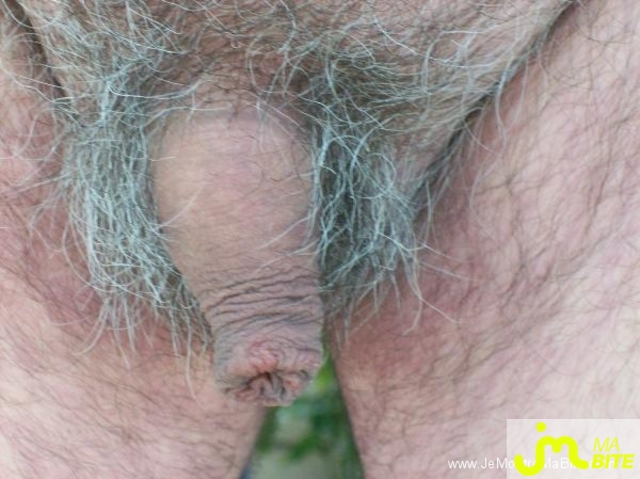 Photo de la bite de Nenin