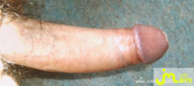 Photo de la bite de Mizdu