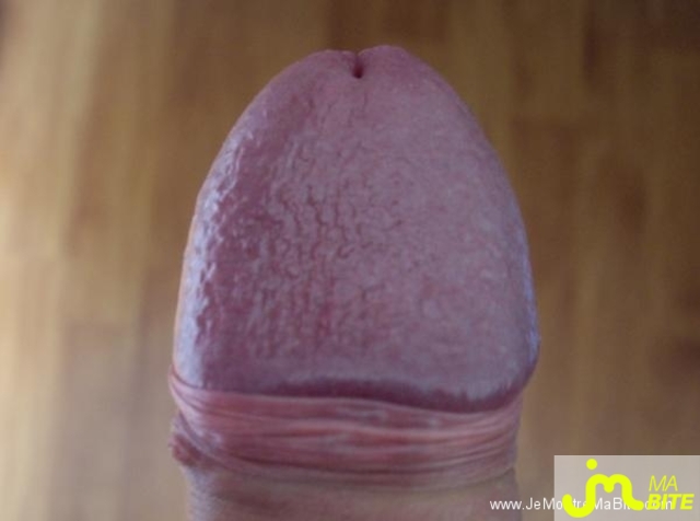 Photo de la bite de Samourai