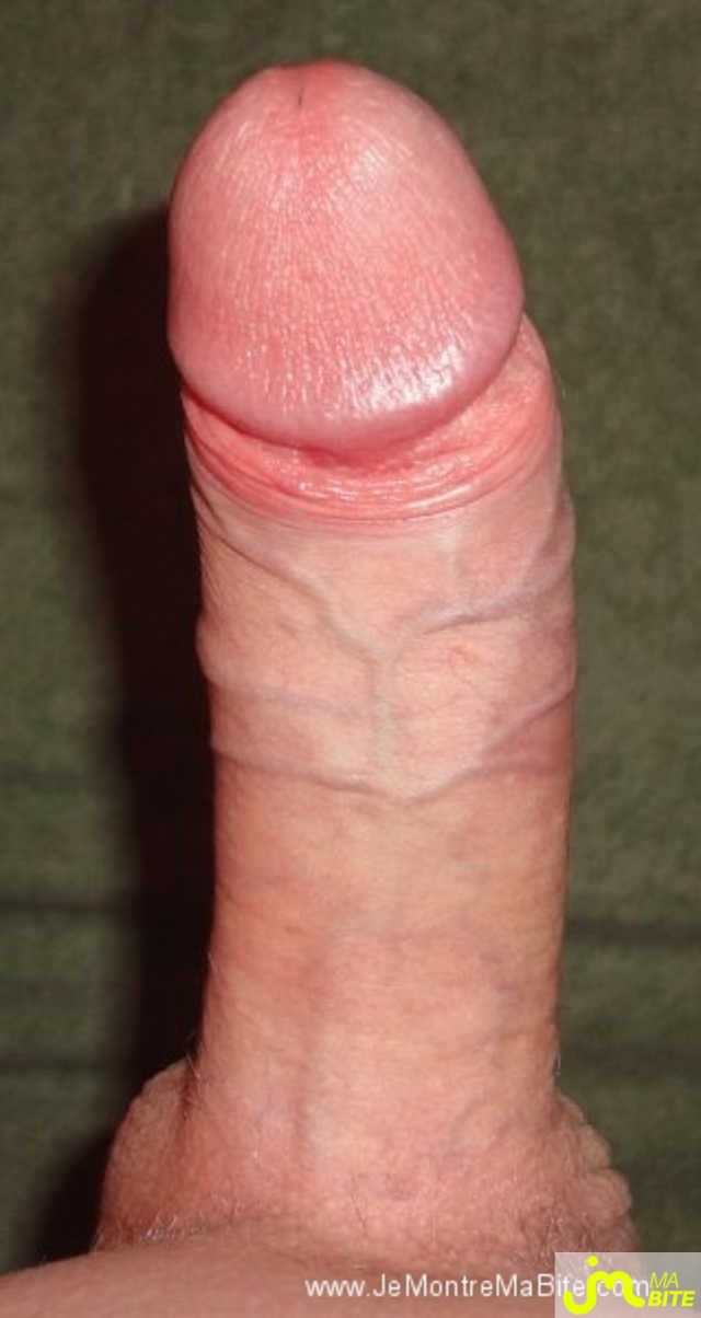 Photo de la bite de Feneryl