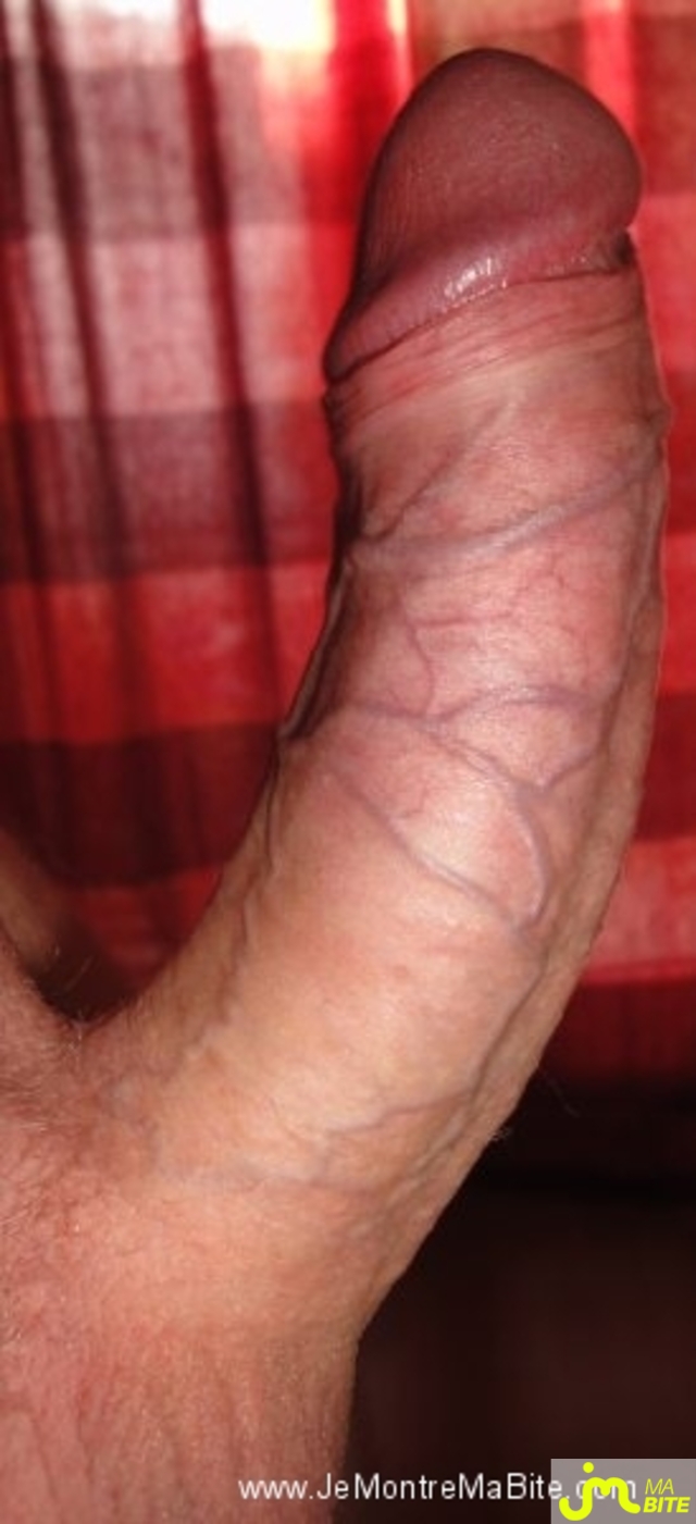 Photo de la bite de Feneryl