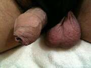 Photos de la bite de Dicktit, dicktit-1