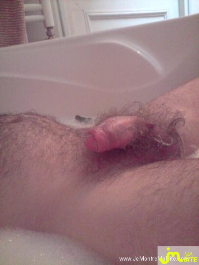 Photo de la bite de Danslesvolcans