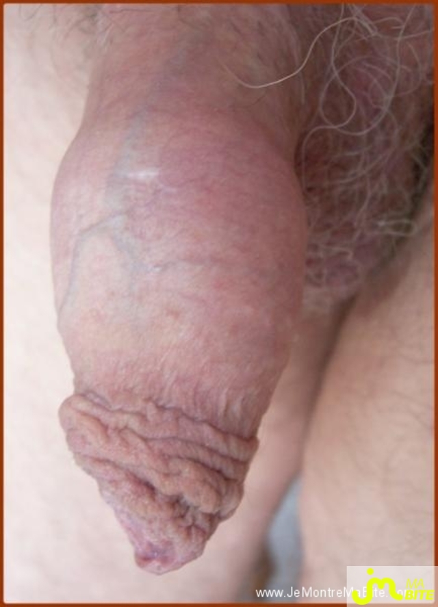 Photo de la bite de The_wicker_man