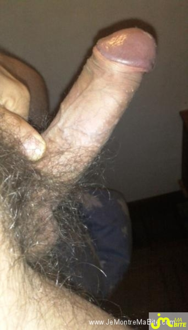 Photo de la bite de Roussette