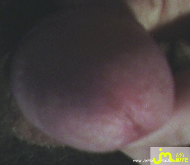 Photo de la bite de Seb63