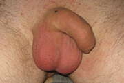 Photos de la bite de Fafoin, pm