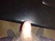 Photos de la bite de Eightball, Mon ptit bout plein d'amour...