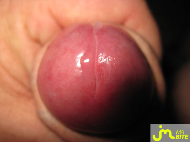 Photo de la bite de Mickool1716