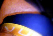Photos de la bite de Diamondgirl, mon mec a moi
