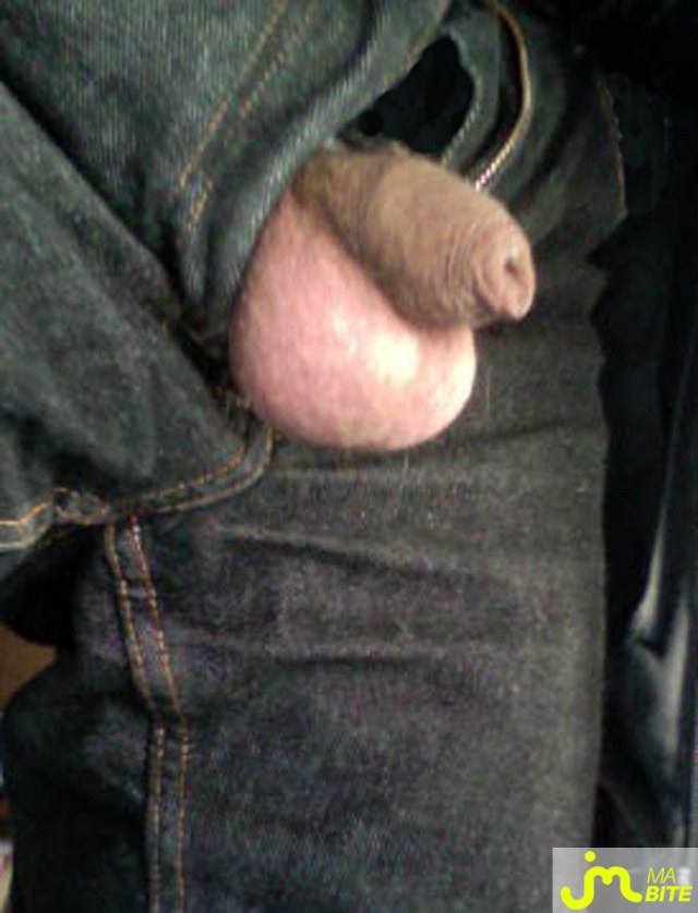 Photo de la bite de Domimich1