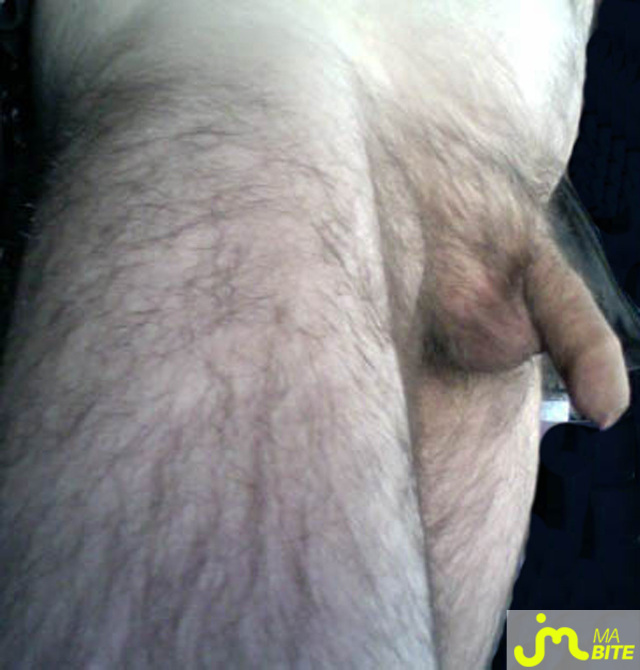 Photo de la bite de Domimich1