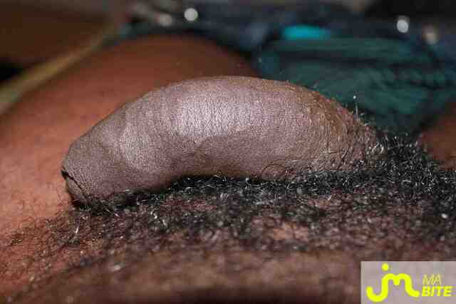 Photo de la bite de Steven the masseur
