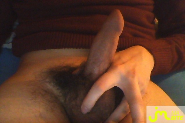 Photo de la bite de Timidedu63
