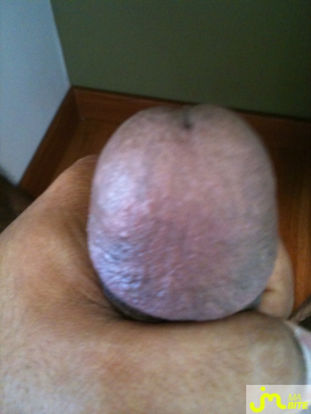 Photo de la bite de Cocolocosa