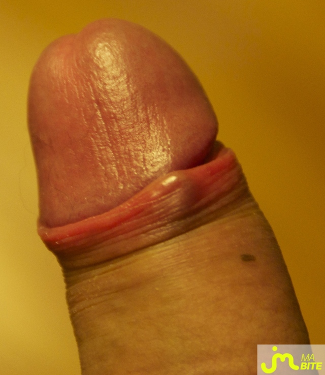 Photo de la bite de Groszisi