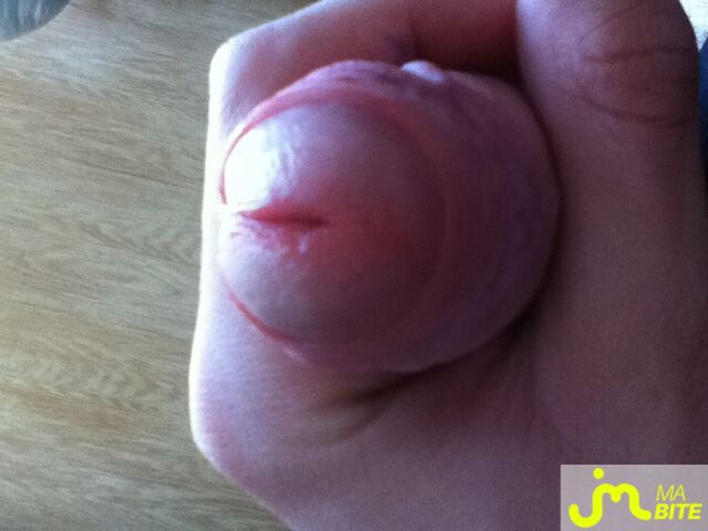 Photo de la bite de Skript