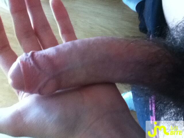 Photo de la bite de Skript