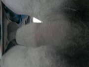 Photos de la bite de Domi_fred6, pour vous mesdames, pour vous messieurs