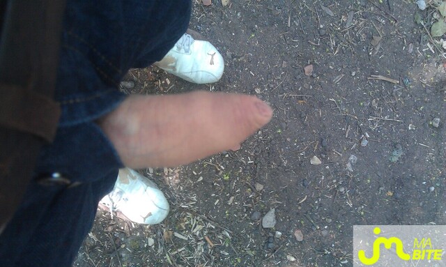 Photo de la bite de Bicurieu