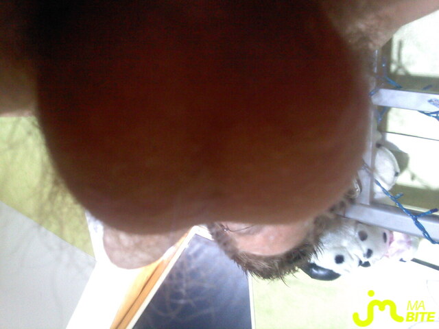 Photo de la bite de Axelis