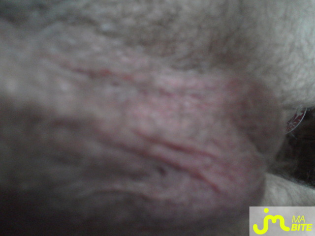 Photo de la bite de Jeje007