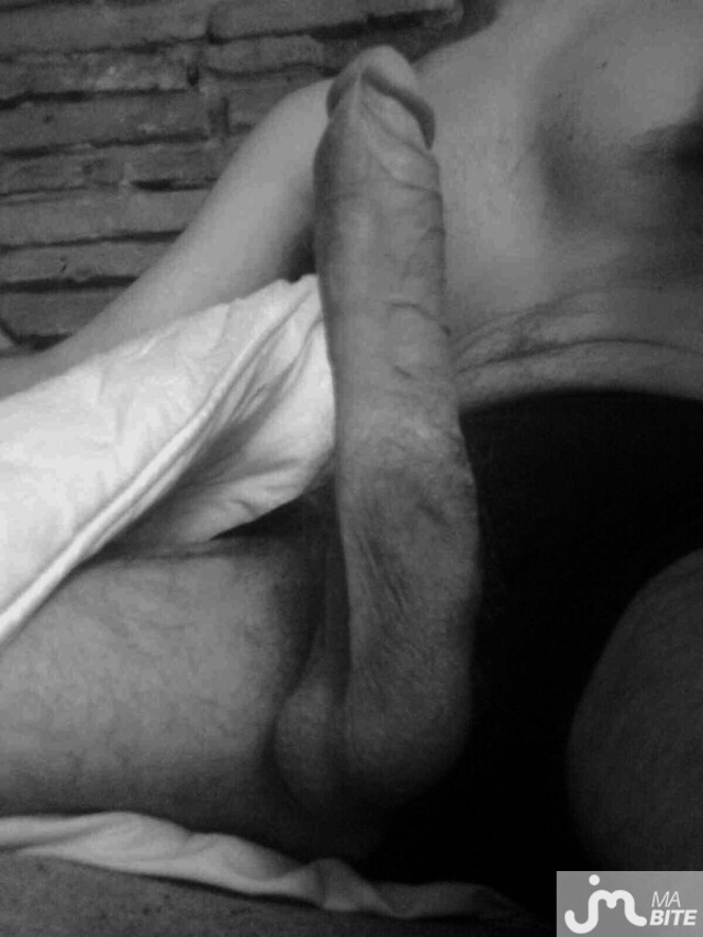 Photo de la bite de Louloudesbois