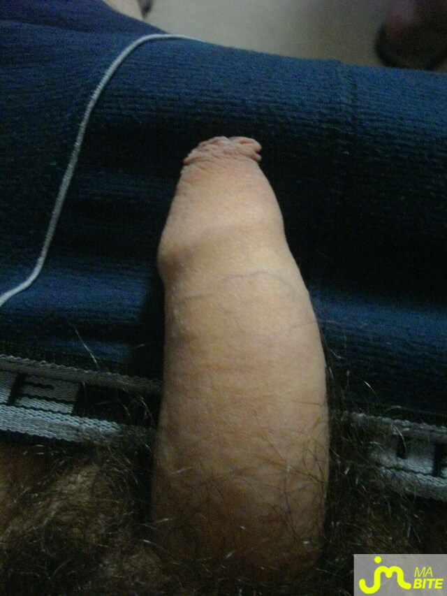 Photo de la bite de Ashkan