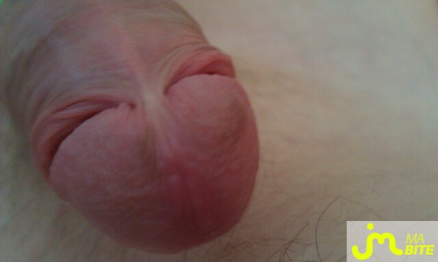 Photo de la bite de Babeeteu