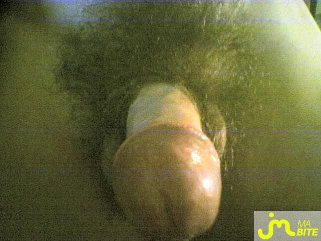 Photo de la bite de Zozob