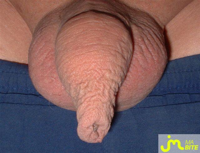 Photo de la bite de Bitalair