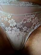 Photos du minou de Poils2chat, poils2chat