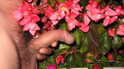 Photos de la bite de Dede59, dite le avec des fleurs