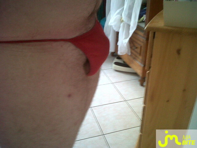 Photo de la bite de Lepluschaud14