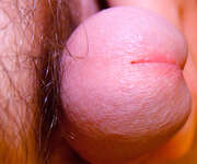 Photos de la bite de Alx80, Série de la rentrée