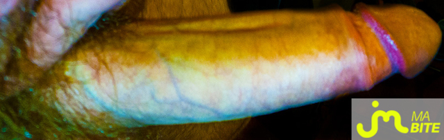 Photo de la bite de Alx80