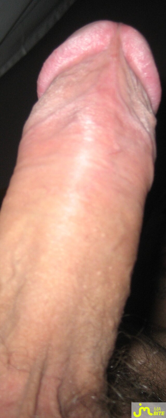 Photo de la bite de Penneg