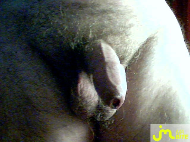 Photo de la bite de Boucheaminou