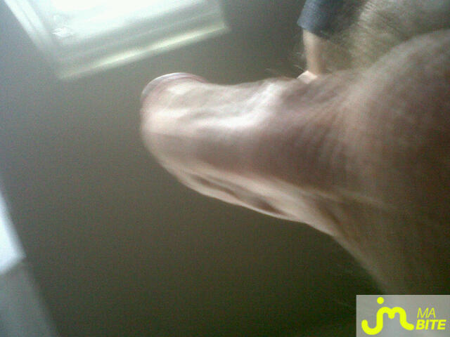Photo de la bite de Bernie72