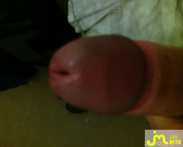 Photo de la bite de Starlud